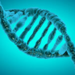 Epigenetics