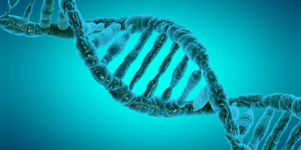 Epigenetics