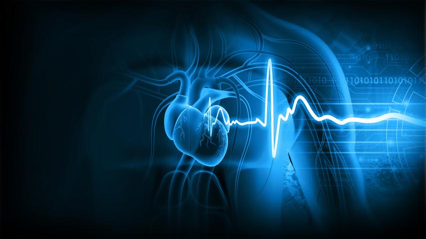 The Cardiac Cycle
