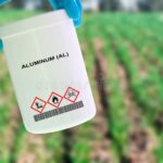 Aluminum Ions: The Primary Cause of Soil Acidity