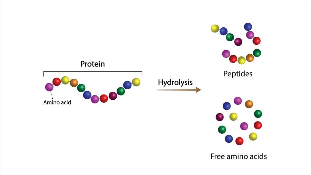 Hydrolysis