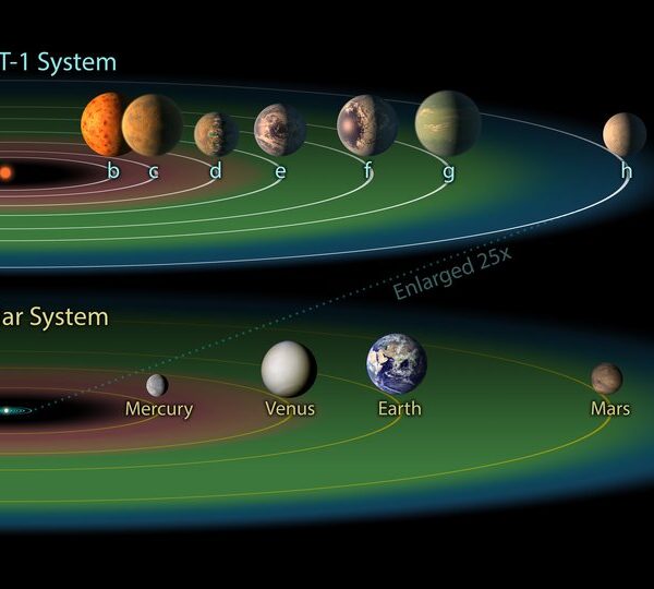 The Habitable Zone