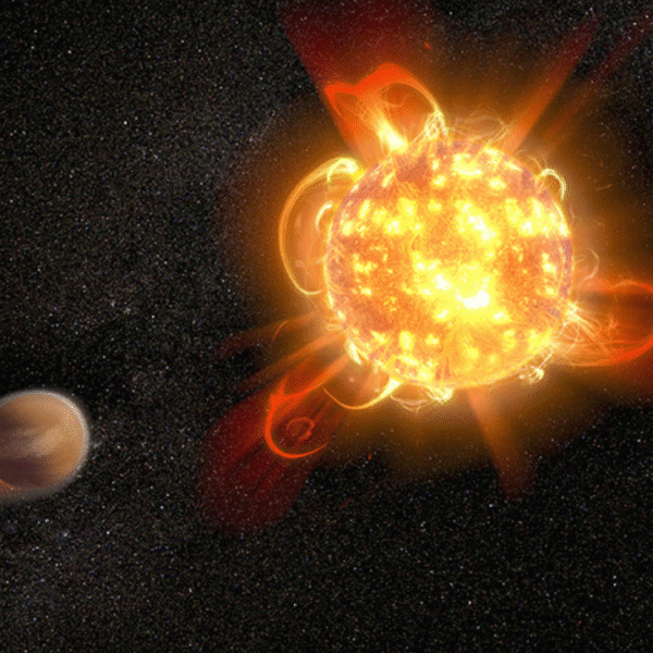 Red Dwarfs – The Quiet Fires of the Universe