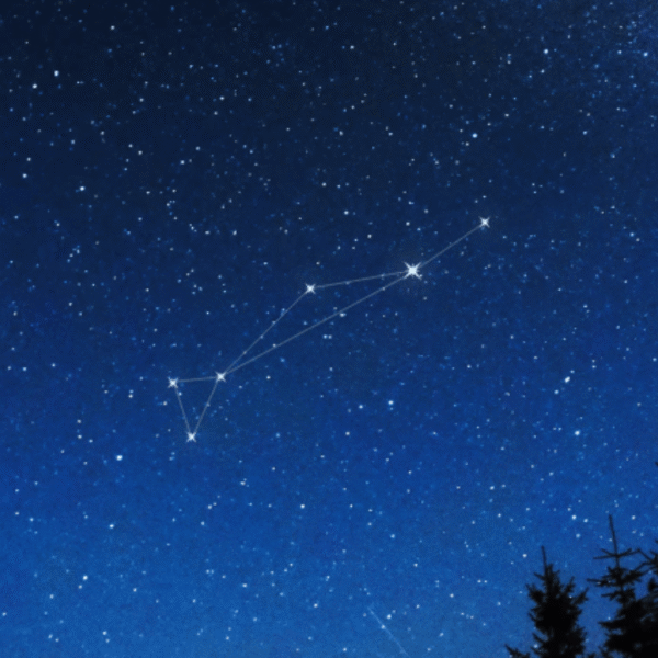 Constellation Dorado &mdash; The Cosmic Swordfish