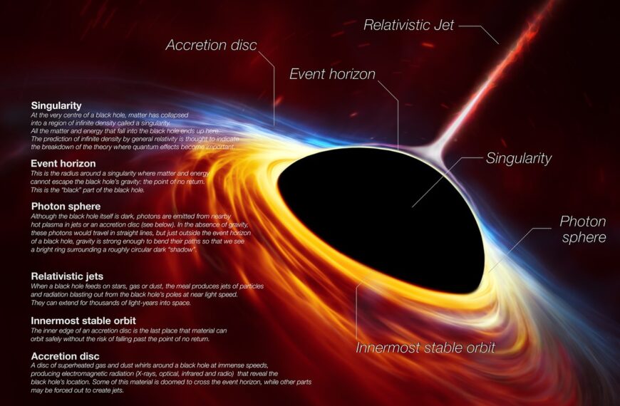 Black Holes